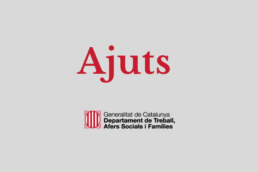 Ajuts-covid19