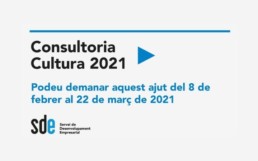 Subvencions-ICEC