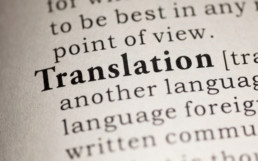 Ajuts-Traducció-Ministerio